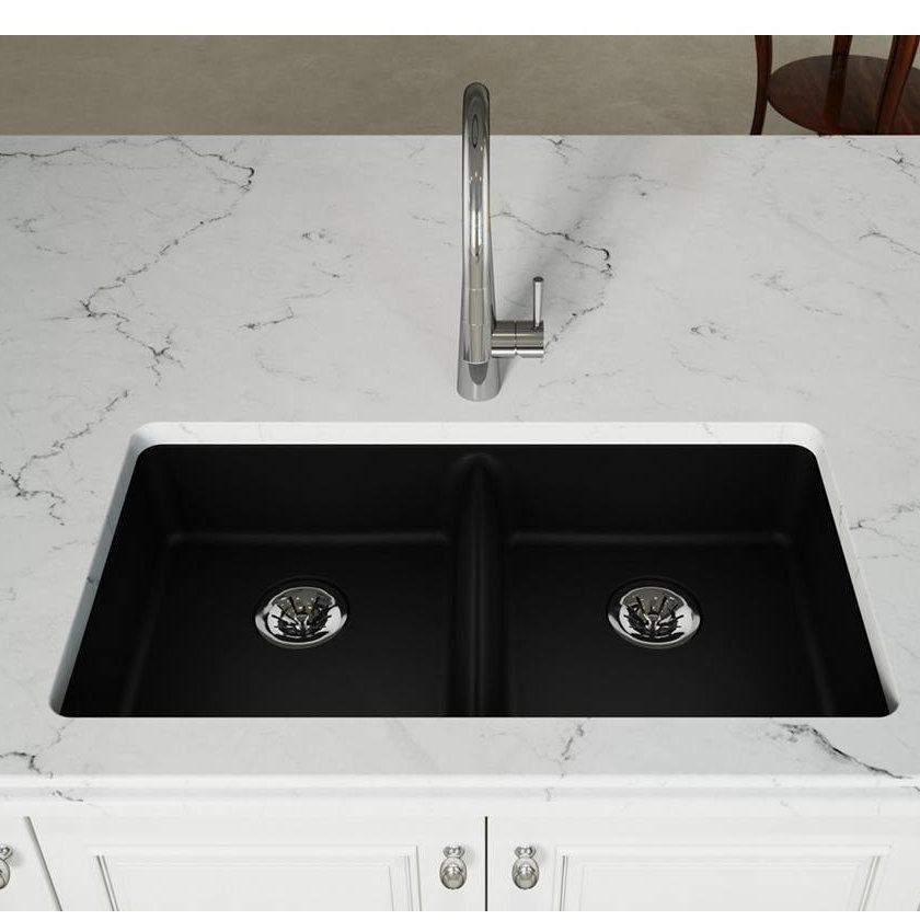 Elkay Quartz Classic 18.5'' W Double Bowl Quartz Undermount Kitchen ...