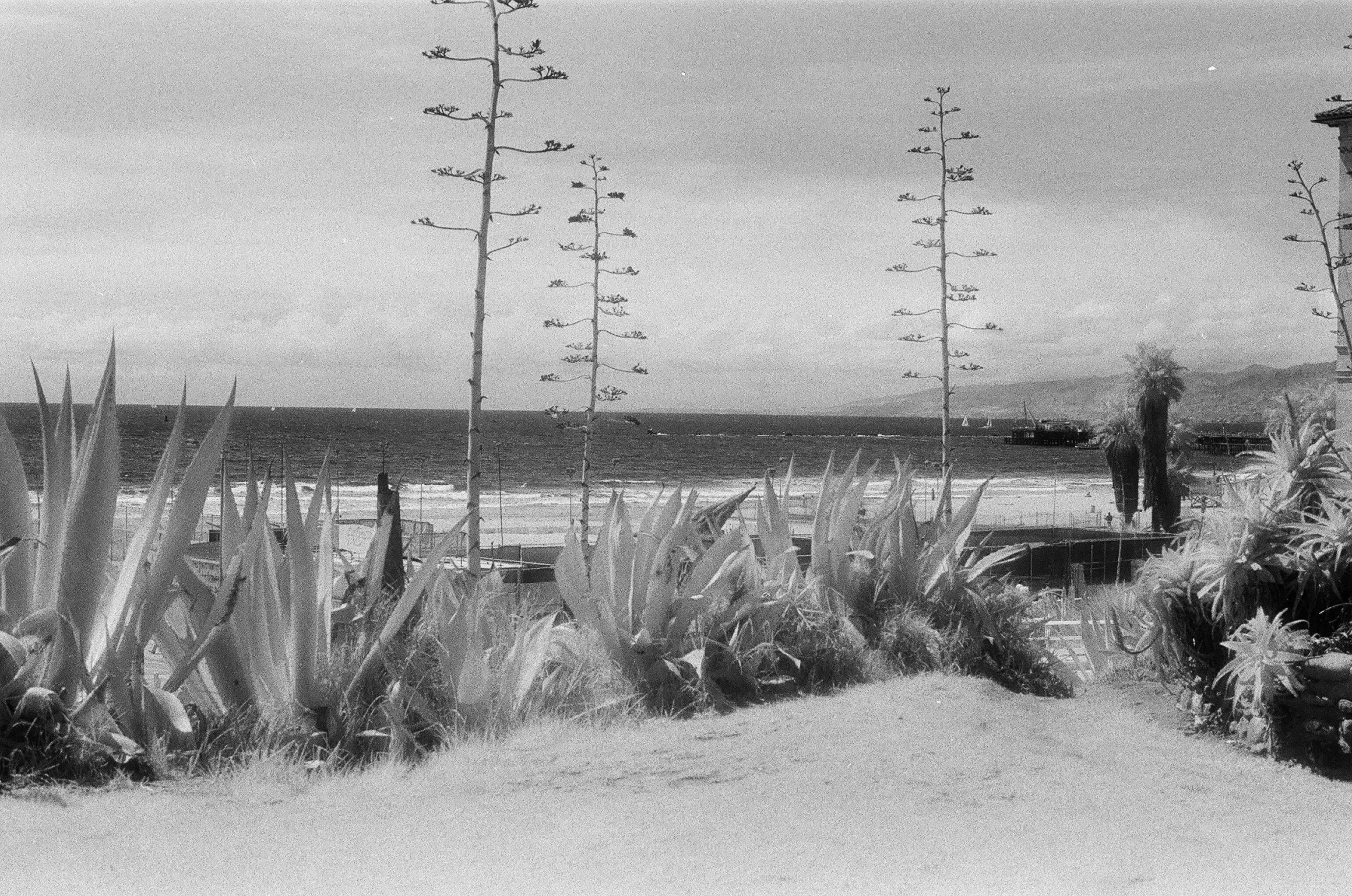 Rosecliff Heights Santa Monica 2 Picture Frame Photograph Wayfair