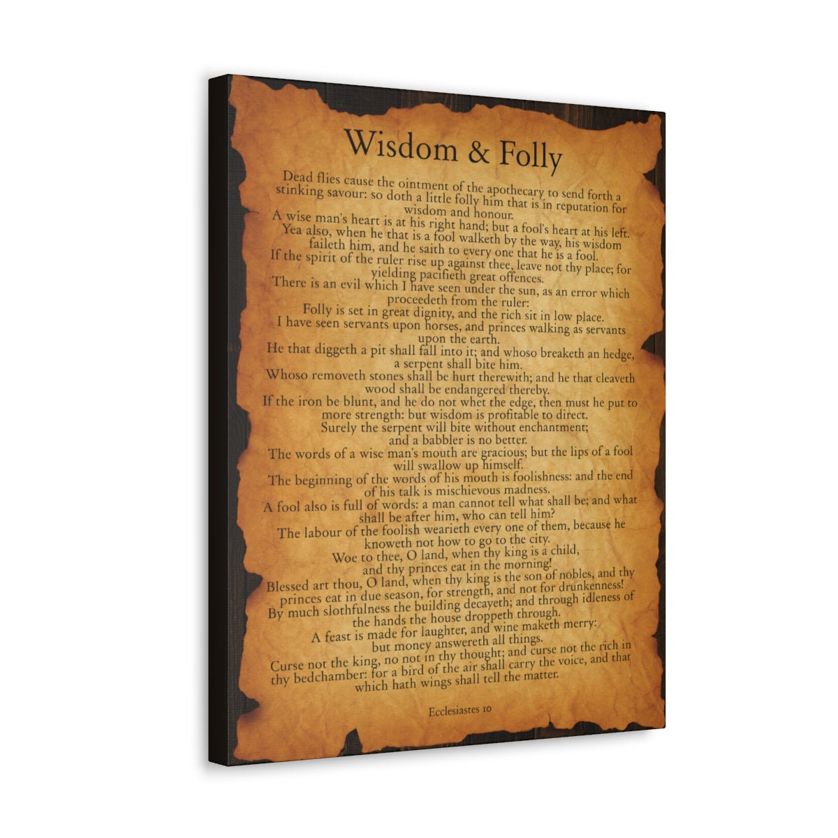 Trinx Wisdom & Folly Ecclesiastes 10 Bible Verse - Wrapped Canvas ...