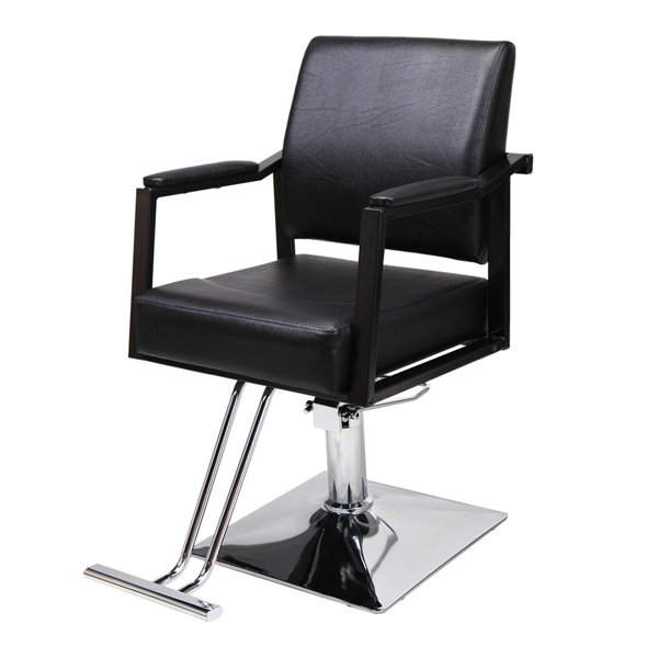 LUNATICBR1™ Salon Chair - Wayfair Canada