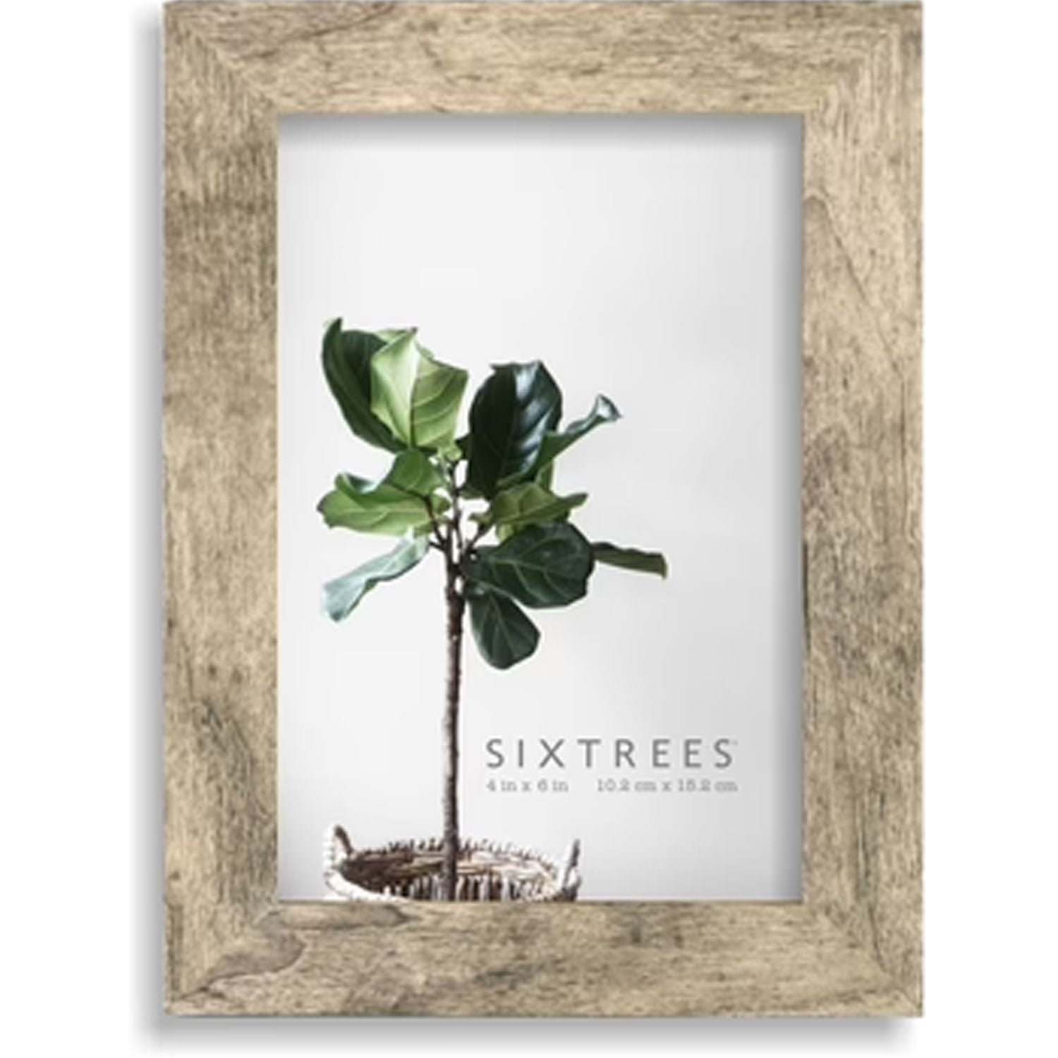 Sixtrees USA Ltd. Lawrence Wood Picture Frame Multiple Colors Wayfair