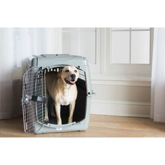 Wayfair | X-Large Dog Carriers You'll Love in 2023