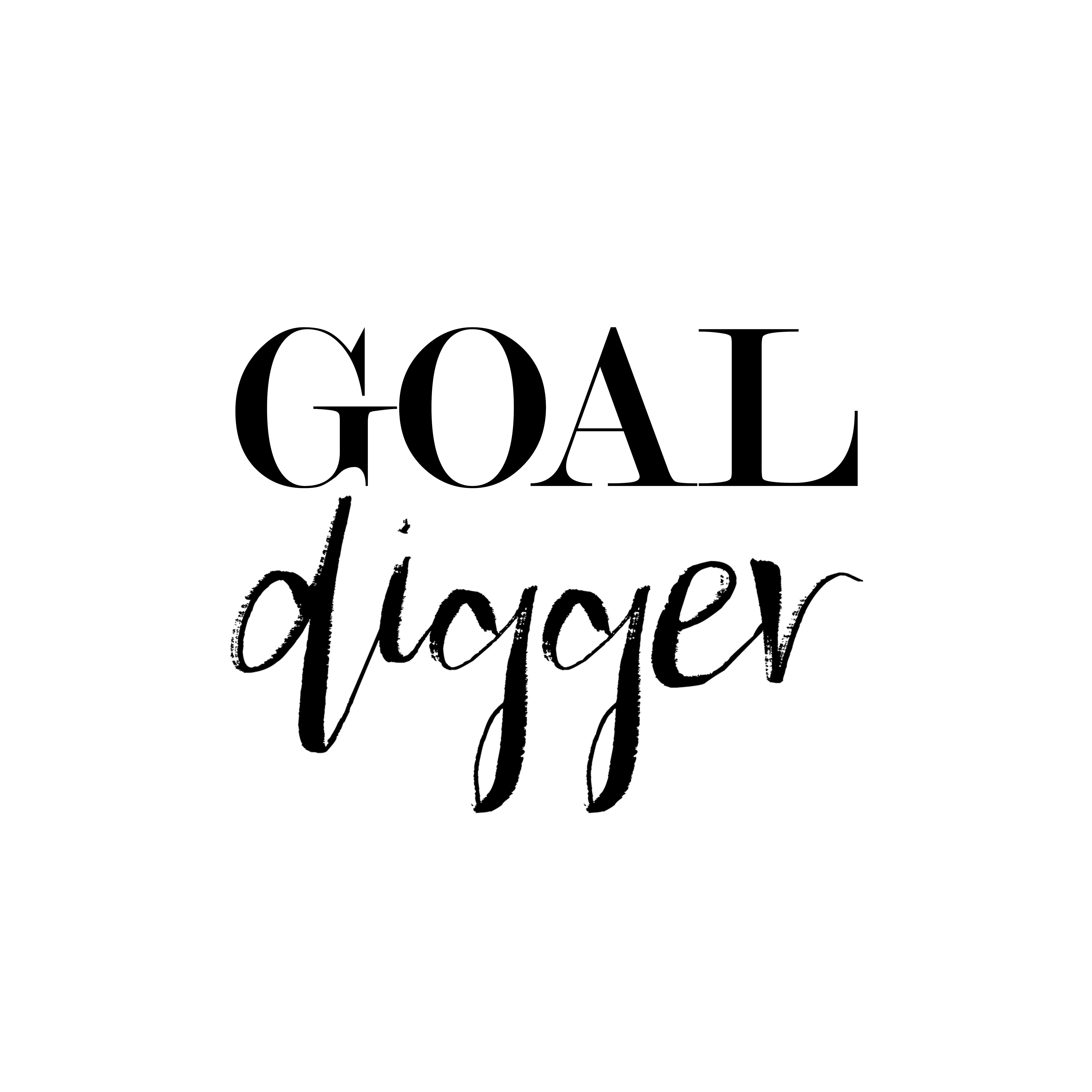 Maturi Goal Digger 2 Wayfair.co.uk