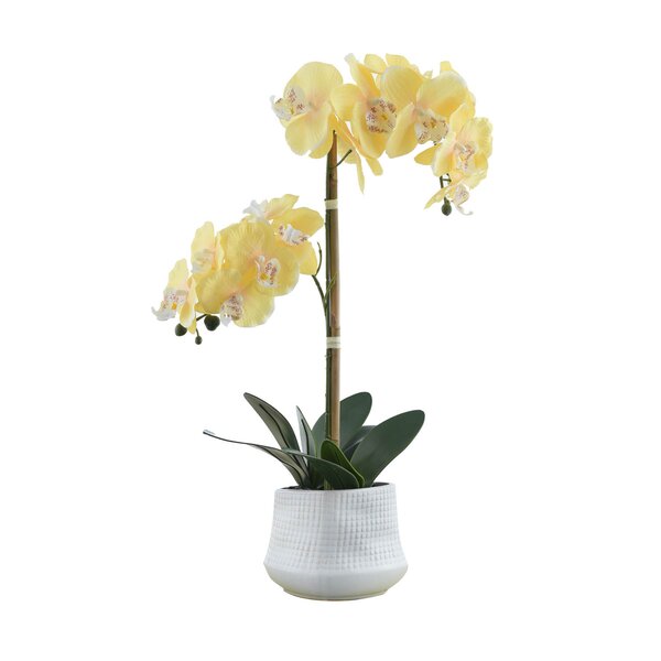 Large Silk Phalaenopsis Orchid Flower Plant Potted with artif Moss 4ft 