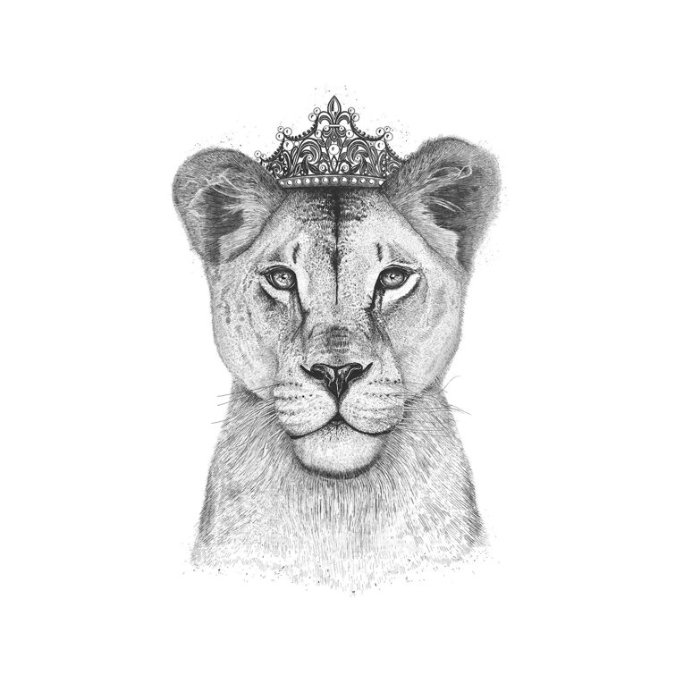 Bless international The Lioness Queen by Valeriya Korenkova - Wrapped  Canvas Graphic Art | Wayfair