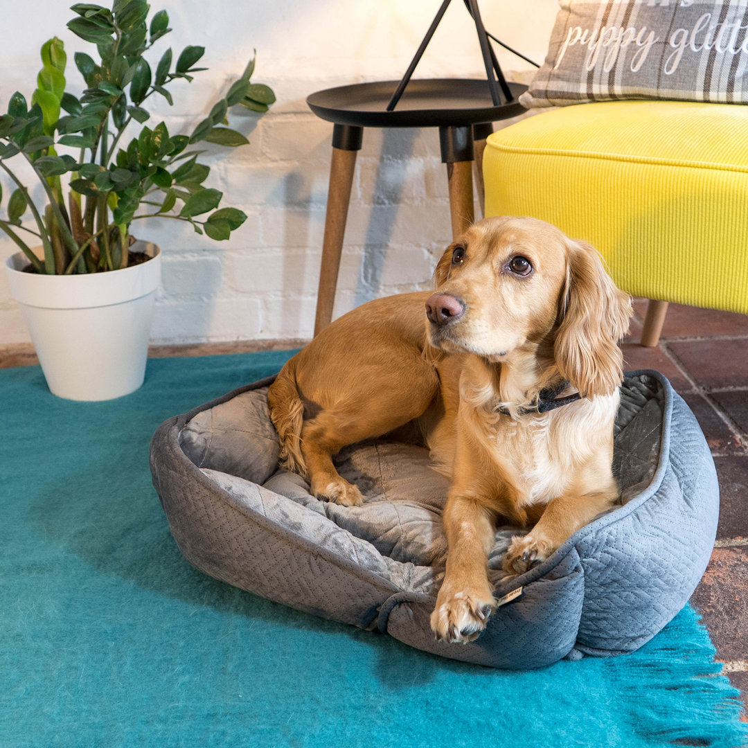 Archie & Oscar Hundebett Ty