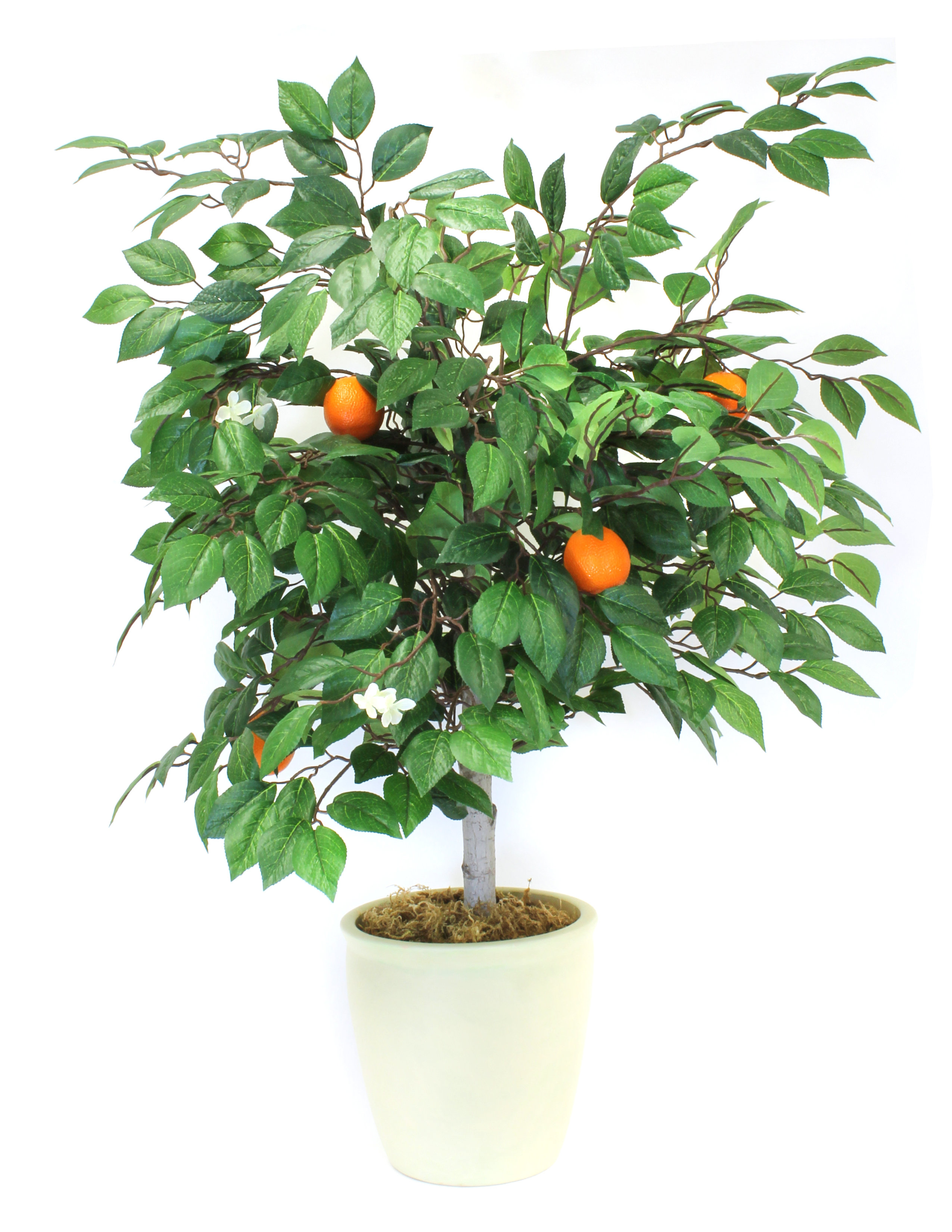 August Grove® 38'' Faux Orange Tree in Terracotta Pot Wayfair