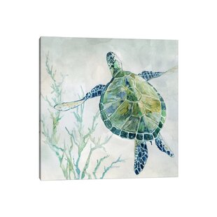 Bild auf Leinwand,Schildkröten,60x100 cm/1546 Schildkröte 1L 