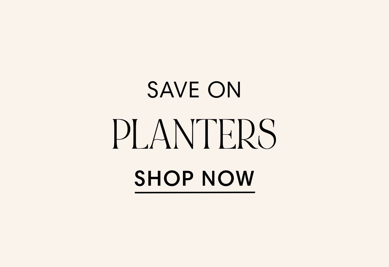 Birch Lane Farmhouse & Traditional Furniture Made to Last Birch Lane