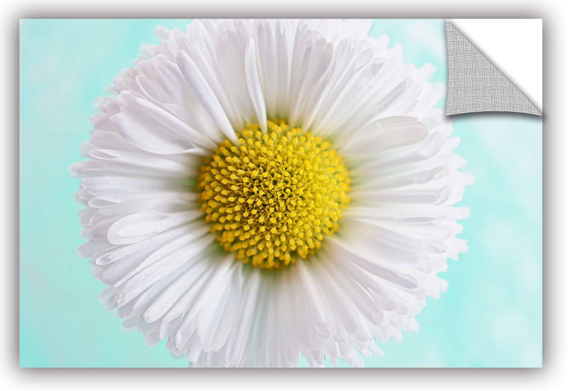 Ebern Designs Daisy Mint On Artapeelz Graphic Art Wayfair