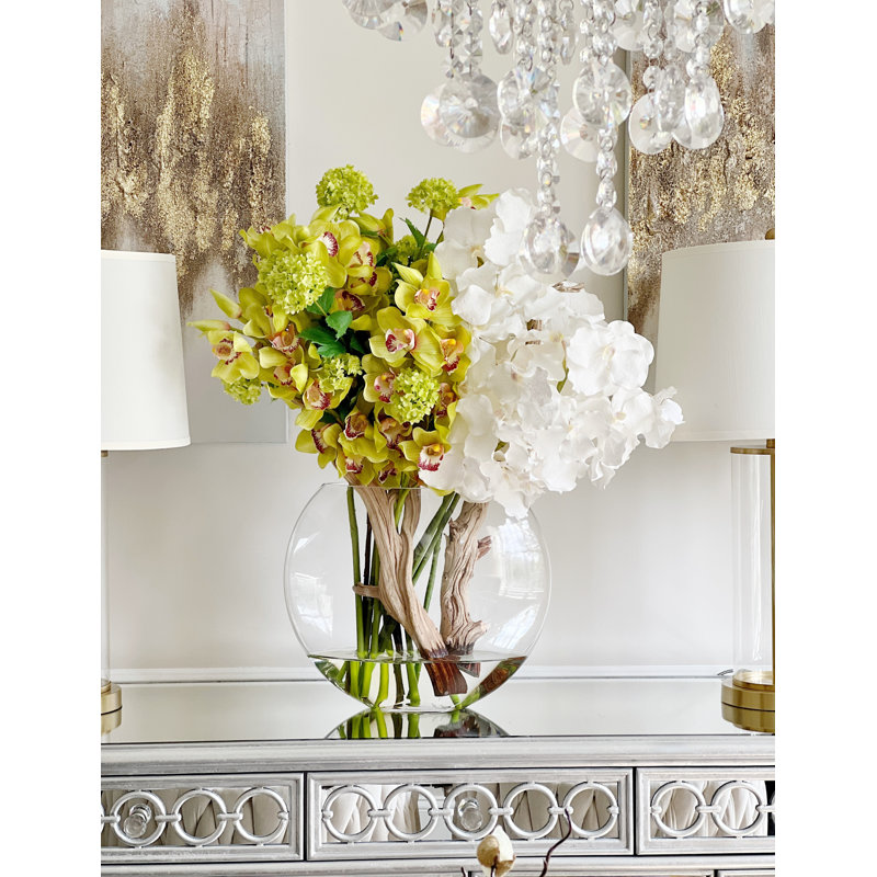 white cymbidium fourth of july