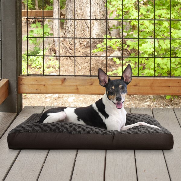 Lampshades Ideal To Match Dog Duvets Dog Cushions Dog Wall Art & Dog Wallpaper. 