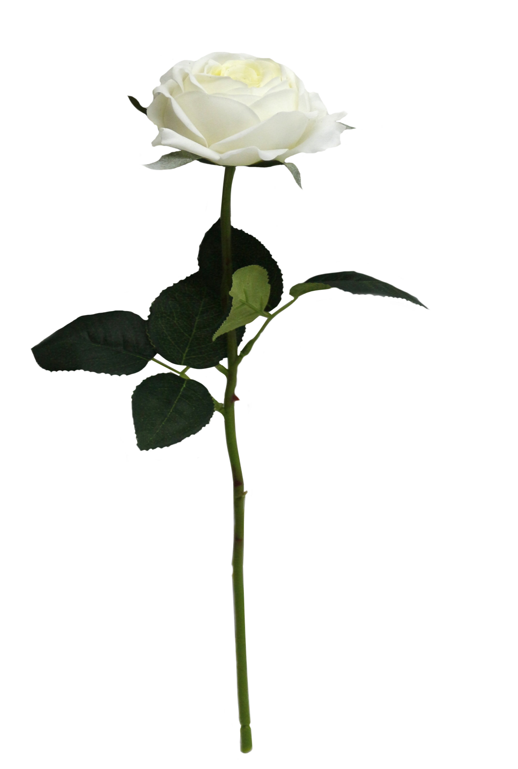 Primrue Long Premium Lifelike Artificial Roses Stem Wayfair