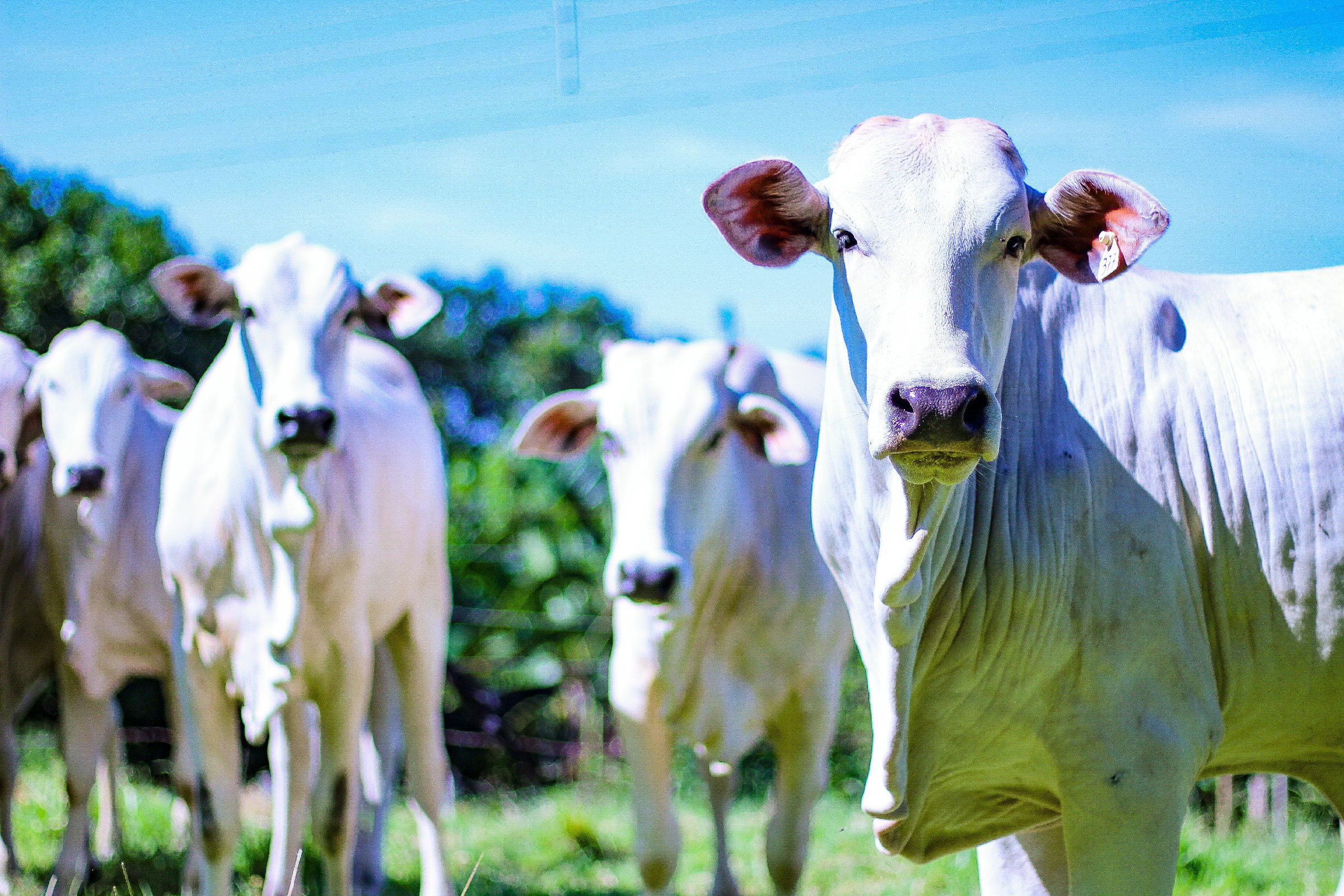 August Grove® Rural Region by Print Wayfair