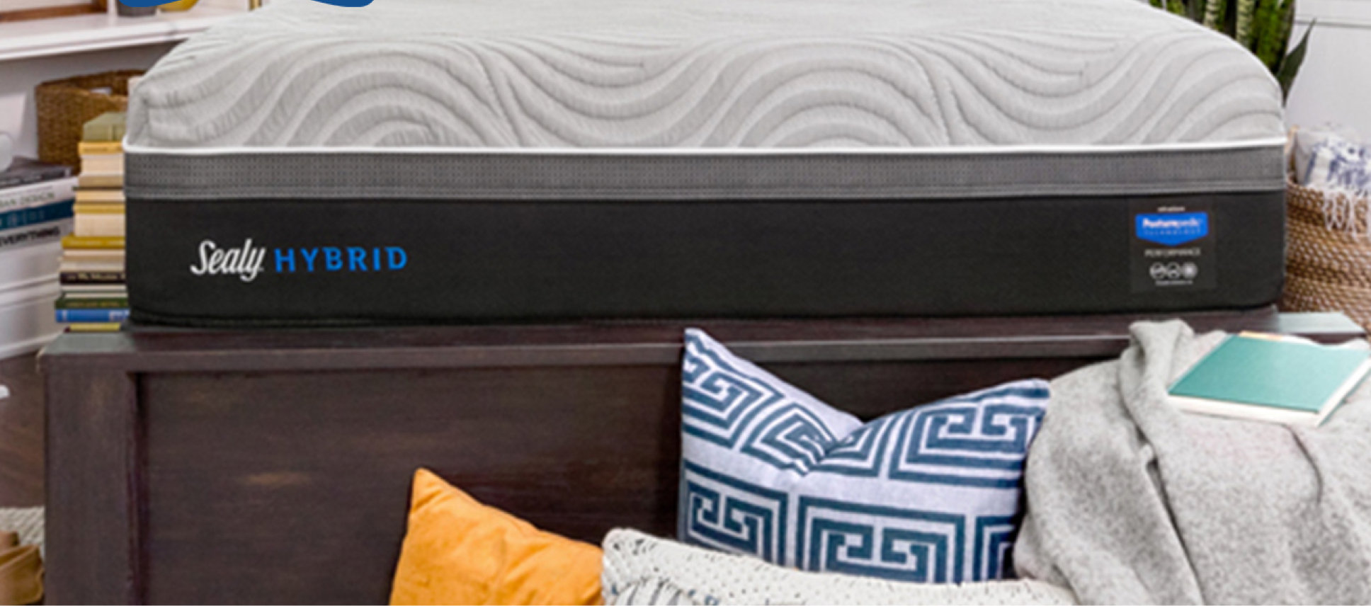 [BIG SALE] Sealy Mattress Sale You’ll Love In 2023 Wayfair