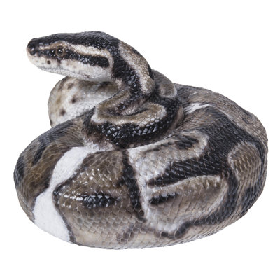 Hi-Line Gift Ltd. REGIUS BALL PYTHON STATUE & Reviews | Wayfair